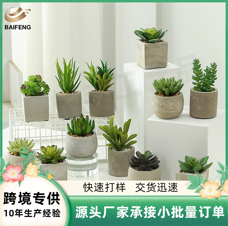 Planta suculenta artificial, maceta decorativa para hogar, bonsái verde, accesorio decorativo