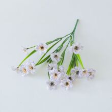 �������_�mˮ�ݽz���_�m���滨�����b� ��Y������4֦һ��