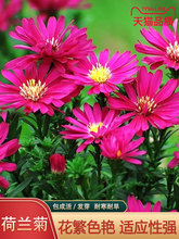 mշNͥԺͷǼСջͺN~һ