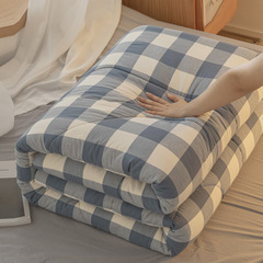 Washed cotton Xinjiang cotton summer quilt single double air-conditioned quilt summer cool quilt thin quilt spring and autumn quilt thickened winter quilt core