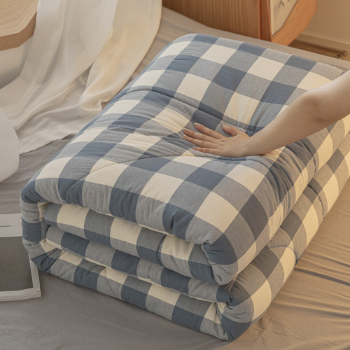 Washed cotton Xinjiang cotton summer quilt single double air-conditioned quilt summer cool quilt thin quilt spring and autumn quilt thickened winter quilt core