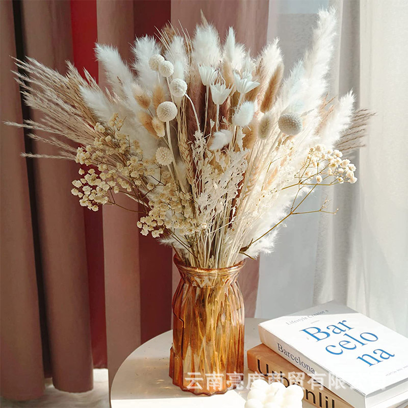 Pampas naturales ramo de flores secas cola de conejo hierba pequeña Reed polvo Reed madera estilo bohemio decoración del hogar