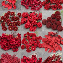 �tɫ���滨��c���� ��Y�����b��ļٻ��廨��õ��tɫϵ��ˇ