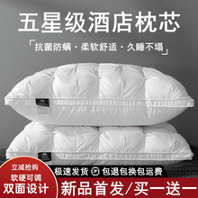 ^оǼƵoi׵˯ߌüһݳܛ^