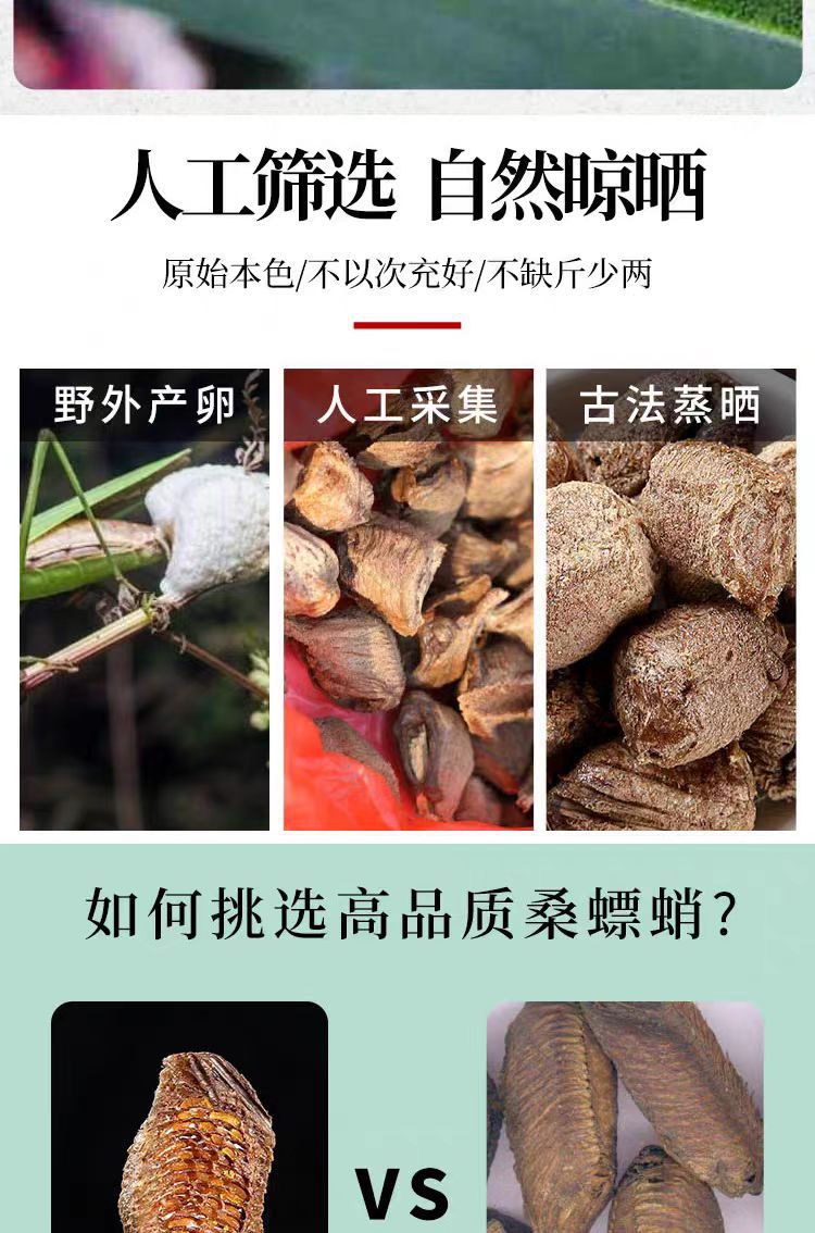 Sang Piao Xiao (Mantidis Ootheca) — Dried Wild Mantis Egg-Case Herb, 500g key features
