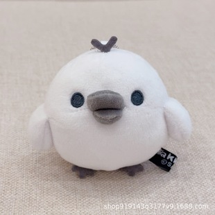 �ǿ��u��ɫС�uë�q��� �������uë�q �����b�耳׿���Ů�ĶY��