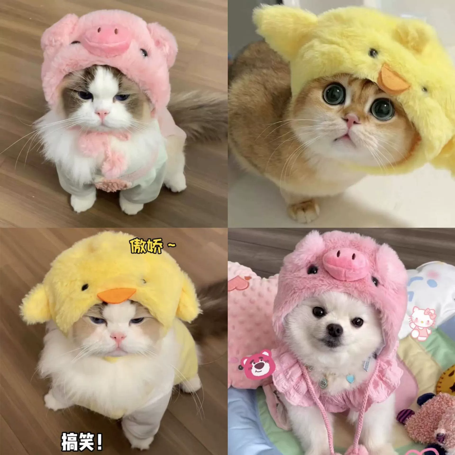 Шапка-кошка-поросенок, головной убор для домашних животных, забавный головной убор для собак маленького размера, милая шапка для фотосессии, трансграничная интернет-знаменитость
