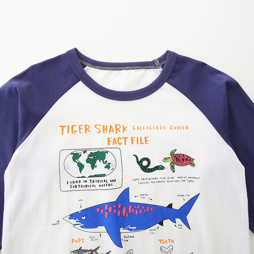 European and American Style Boys' Long-Sleeve T-Shirt Autumn Knit Cotton Children's T-Shirt Fashion Print Middle and Small Children's Sports Top