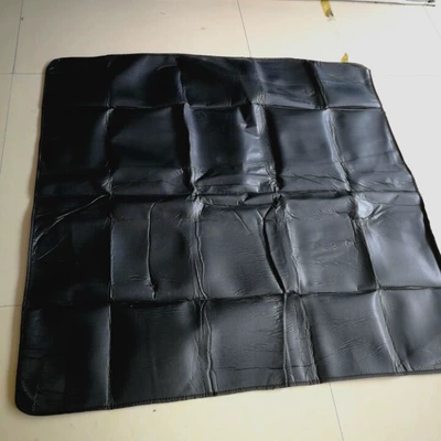 PVC car waterproof non-slip picnic Car Carpet