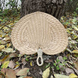 扇子大蒲扇芭蕉扇济公扇葵扇老人老式蒲草手工扇绘画扇棕叶烧烤扇