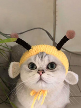 宠物猫咪头套狗狗头套 小动物造型 搞怪帽子 蜜蜂头套