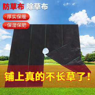 Cross-Border Customized Punching and Slicing Ground Cloth Supply Wholesale Manufacturer Grass-Proof Cloth Cutting and Punching Fruit Tree Greenhouse Agricultural Cloth