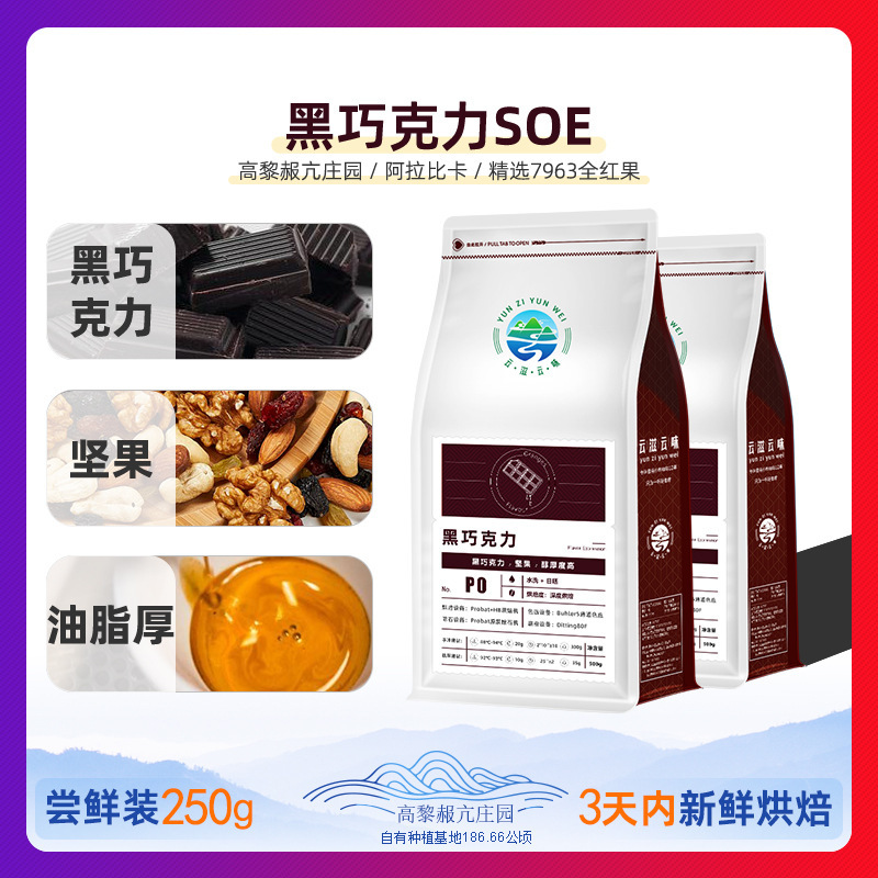 Italian-style coffee beans black chocolate flavor fat rich milk coffee latte ice extract ground coffee powder fresh baking