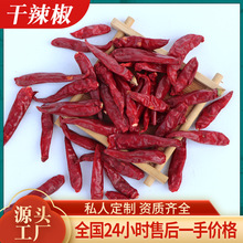��������һ�������t������������500g250������������������