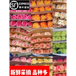 Direct Shipment from Yunnan Base: Rose Bouquet with Sf Express Cold Chain Delivery, Free Shipping for Weddings, Street Stalls, Postpartum Flowers, and Home Flowers