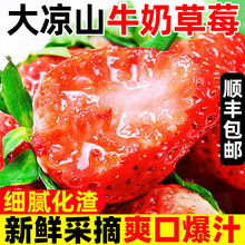 �����Ĵ����ɽ�t�99��ݮ5�ﮔ�����rˮ�����l���]3��ţ�̲�ݮ