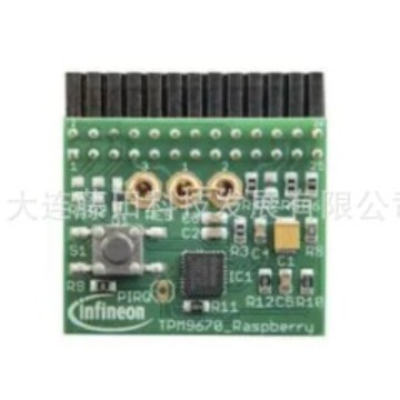 MP001243 PSTD0,65X0,65/40-2,54 RPI-BCEXT-PCBHBUSSET