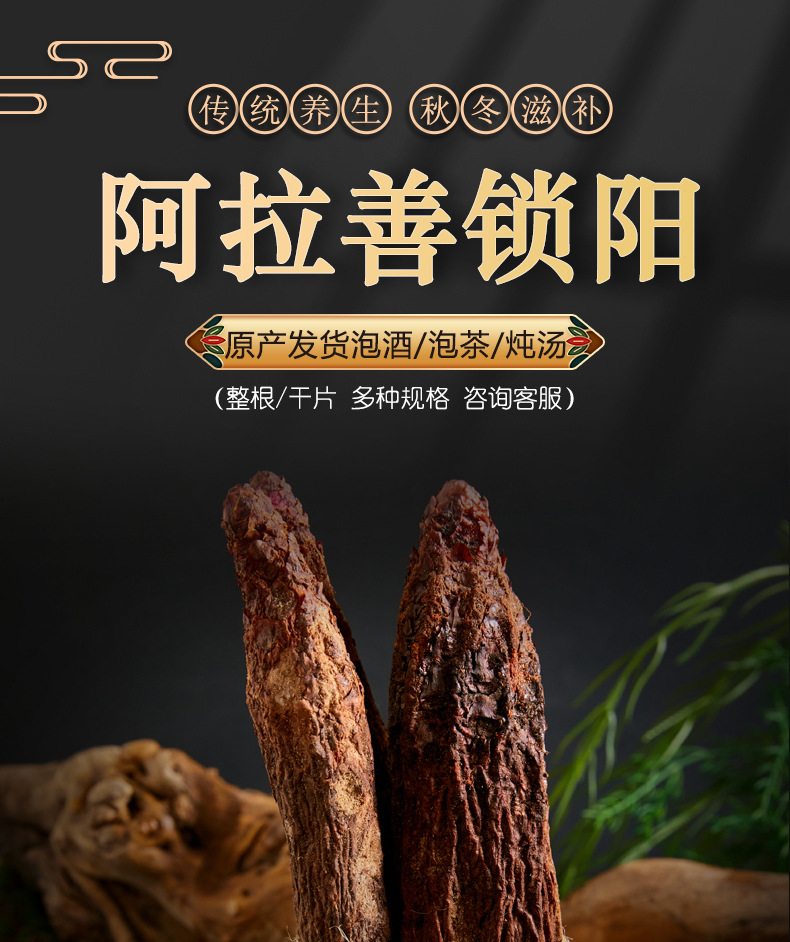 Dried Cynomorium Songaricum Whole Roots Suo Yang 500g Warming Herbal Tonic for Tea and Soup overview