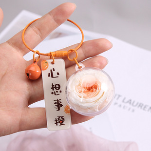 ������耳׿ۺ��°l���ɐے����������|�����˹��Y���c���ֶY