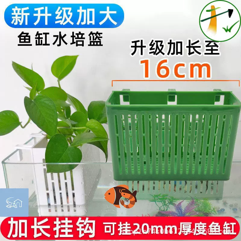 鱼缸水培定植种植篮水草固定壁挂式造景养鱼养花装饰配件绿萝水养