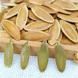 ����������Ϲ����½��u���ζ500�����˼��L���ش�����Թ�����