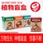 盆栽种植儿童节学生小盆栽