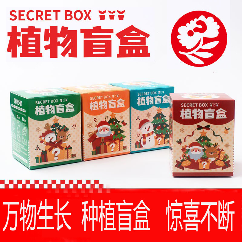 种植盲盒小盆栽儿童节礼物室内植物蔬菜花卉种子学生绿植盆栽定制