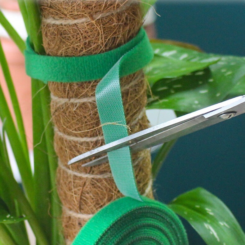Vine Plant Adhesive Fixing Green Plant Gardening Binding Tape Green Self-Adhesive Velcro Tie Plant Tie Binding Tape