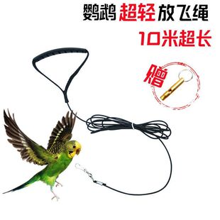 �W�^�B�ó��p���w�K�������L��Ƥĵ�����PС̫ꖺ������B���