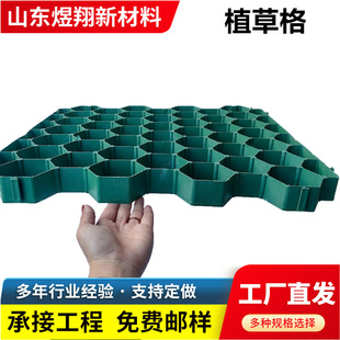 ����ֲ�ݸ�F؛ 5����ƽ�ڻ����o�¾G�����ϻ�ɫ�Gɫͣ܇����ƺ��