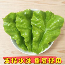 可水洗仿真生菜叶摆盘放菜垫假生菜叶子垫菜绿叶明档展示盘摆菜盘