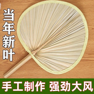 Large Banana Fan, Old-Fashioned Household Ji Gong Fan, Sunflower Fan, New Cattail Fan, Summer Dance Barbecue Fan, Cattail Fan