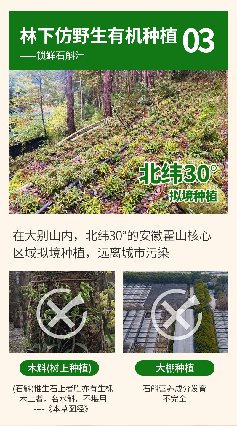 Huoshan Dendrobium Instant Freeze-Dried Powder (Dendrobium officinale) — Fresh-Pressed Shi Hu Sticks specifications