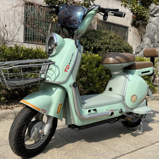 Customizable Compact-Sized Electric Bicycles and Scooters for Campus Use, Affordable and Economical Customizable Compact-Sized Electric Bicycles and Scooters for Campus Use, Affordable and Economical