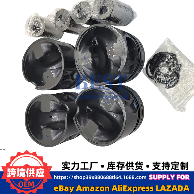 234102F970 Is Suitable for D4Hb2.2Nwe Piston with Pin 234102F980 234102F995