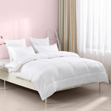 跨境亚马逊五星级酒店被子羽丝绒被芯宾馆全棉冬被加厚保暖纯白色