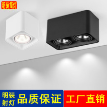 三色变光无主灯智能明装射灯led筒灯双头天花灯客厅家用调光调色