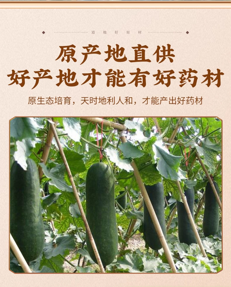 Dried Winter Melon Peel Dong Gua Pi 500g Washed Green Rind for Tea and Soup key features
