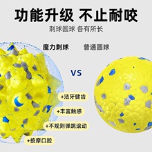 ���׻�������ߝ��X����ҧ����С��ĥ����������С�д���Ȯ�␞