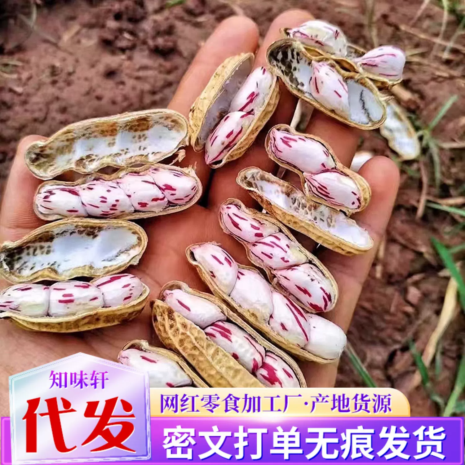 代发七彩花生水煮咸干晒干五彩花生云南特产湿烤原味彩色花生