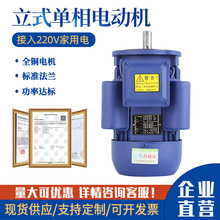 Ʒ��220V������ʽ늄әC����p�ٙCˮ�ô��R�����lYL�~о�p���R�_