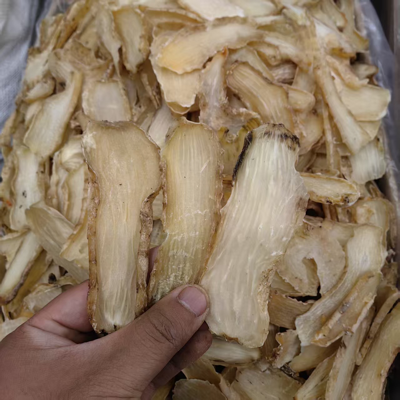 Tianma Gastrodia Powder 500g Yunnan Zhaotong Dried Gastrodia elata Root Ground Fine Powder quality and texture