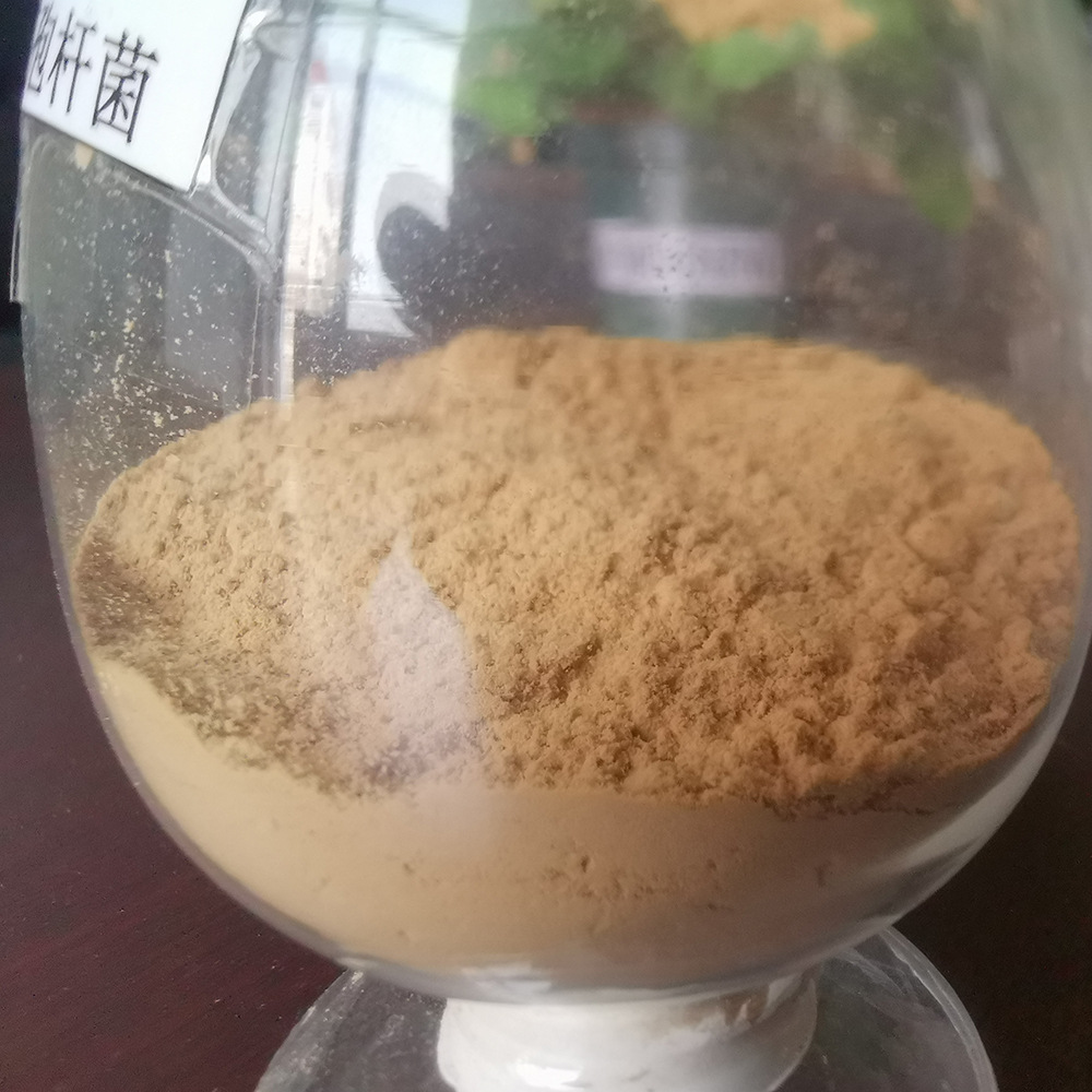 枯草芽孢杆菌生物菌肥微生物菌剂菌种改良土壤促生长益生菌厂家