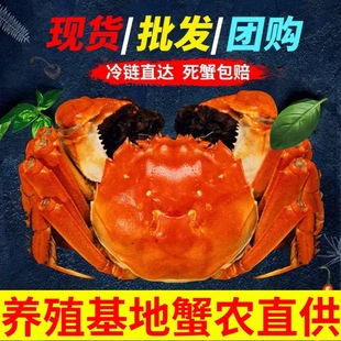 ���l�F؛�K�ݻ��w�з��Ʒ�Y�������S��ĸ�r����lз�����ͶY