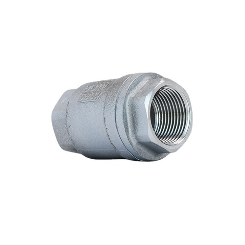201/304 stainless steel vertical check valve H12 threaded internal thread spring check valve