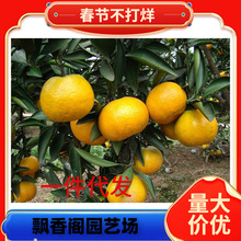 һ�����l�޽�������ɳ�����Ә���o�������ϱ����NֲͥԺ���Ե���