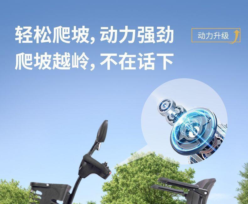 Elderly Mobility Scooter, Four-Wheeled Electric Household Small Double-Seater Scooter for the Elderly and Disabled, Four-Wheeled Folding Power-Assisted Vehicle
