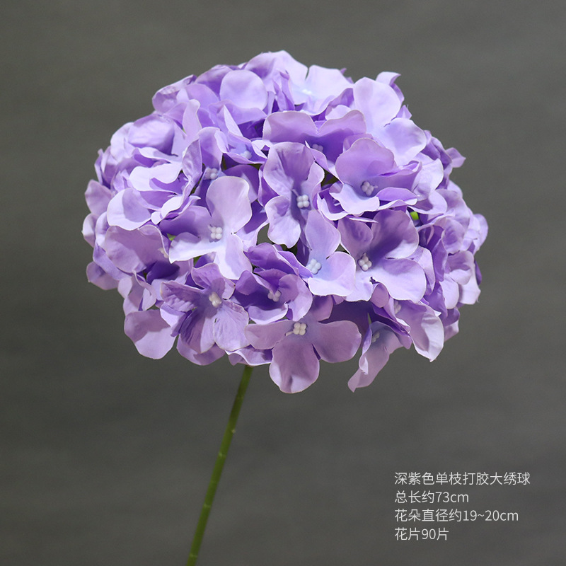 짙은 보라색 단일 가지 접착 대형 수국