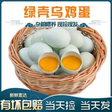 土雞蛋農家烏雞蛋新鮮雞蛋綠殼柴雞蛋土雞蛋40枚烏雞蛋散養烏雞蛋