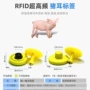 rfid定制电子超高频耳标
